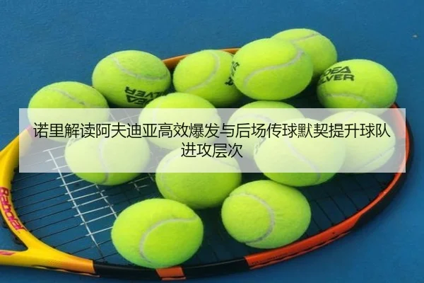 诺里解读阿夫迪亚高效爆发与后场传球默契提升球队进攻层次